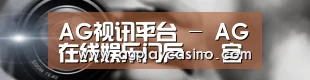 公司动态