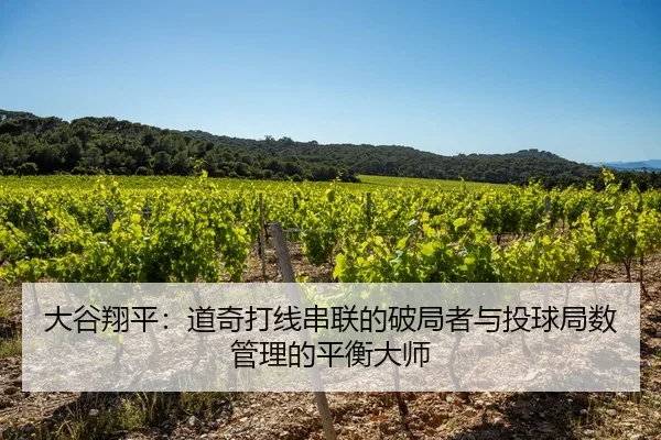 大谷翔平：道奇打线串联的破局者与投球局数管理的平衡大师