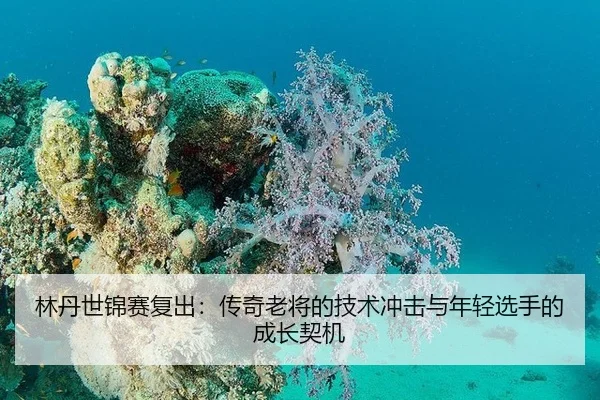 林丹世锦赛复出：传奇老将的技术冲击与年轻选手的成长契机
