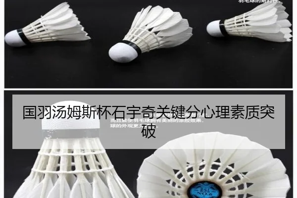 guo-yu-tang-mu-si-bei-shi-yu-qi-guan-jian-fen-xin-li-su-zhi-tu-po-2-919.jpg