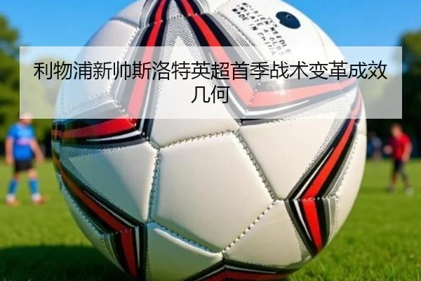 li-wu-pu-xin-shuai-si-luo-te-ying-chao-shou-ji-zhan-shu-bian-ge-cheng-xiao-ji-he-2-434.jpg