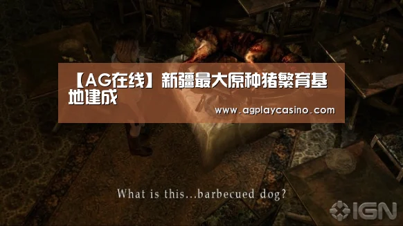 AG在线