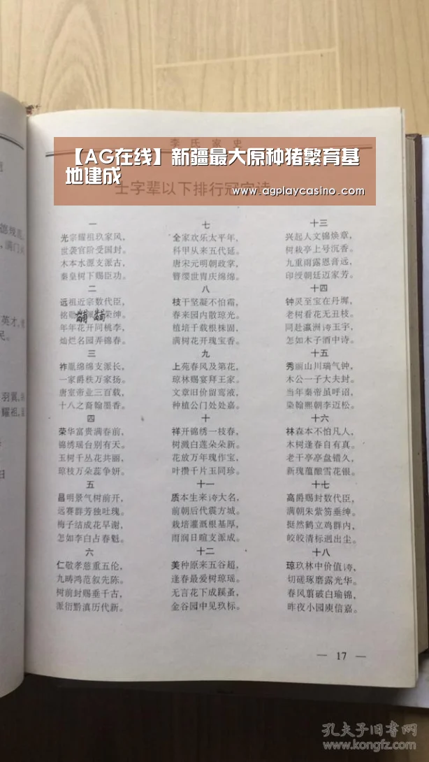 AG视讯