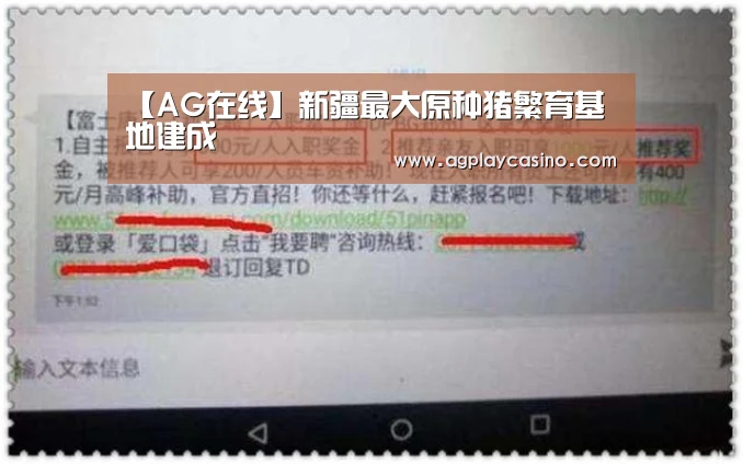 AG视讯